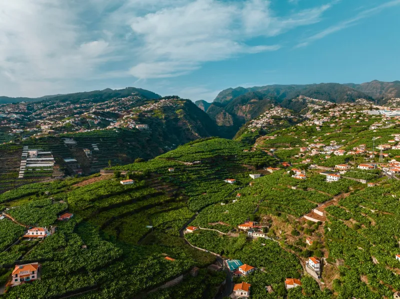 Better Wi-Fi Than Brooklyn: How Monchique's Mountain Villages Became a Digital Nomad's Secret Weapon