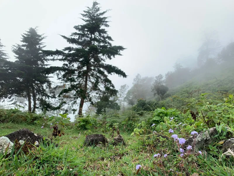 Your Brain on Mountains: The Science Behind That Feeling You Get in Monchique