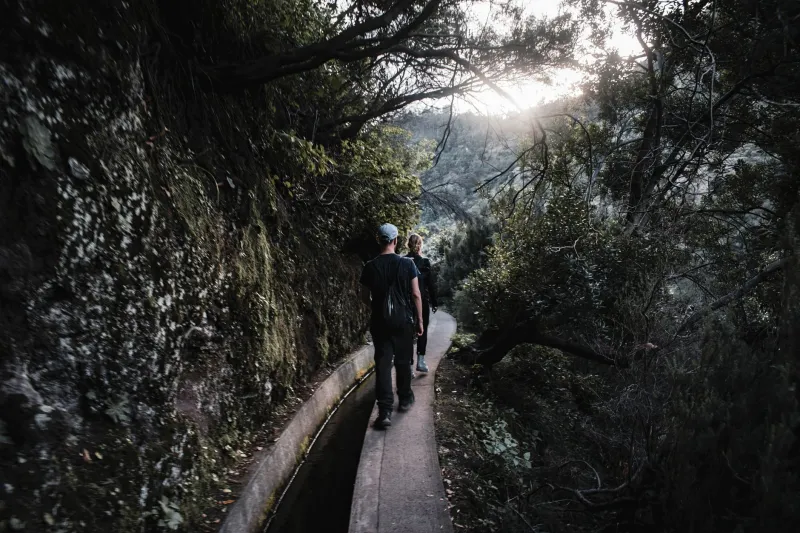 Something Shifts Up Here: How Monchique's Mountains Change the Way You Connect With People